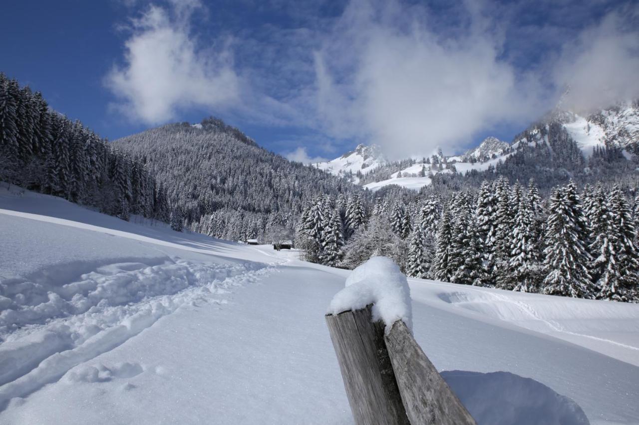 Heerlijke Wandel Of Ski Vakantie In Torgon Portes Du Soleil Esterno foto