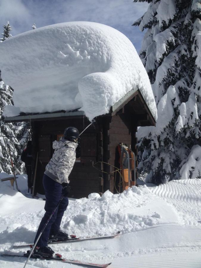 Heerlijke Wandel Of Ski Vakantie In Torgon Portes Du Soleil Esterno foto